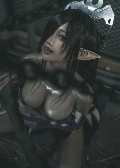 文豪野犬_BD国语在线观看